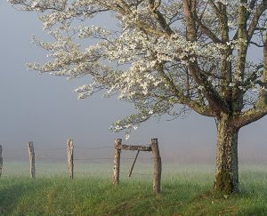 آموزش چند ترفند زیبای عکاسی در طبیعت